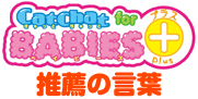 CatChatの英語学習カリキュラム