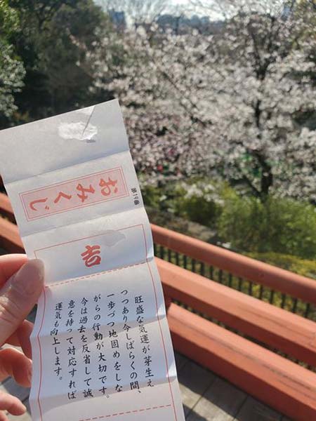 おみくじ