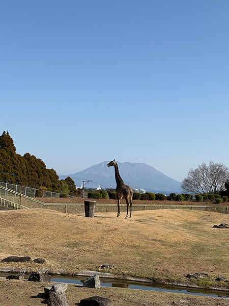 写真2