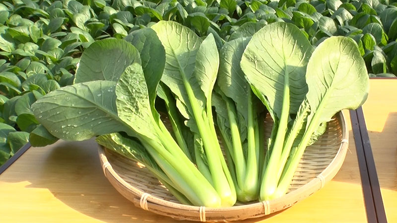 2022年11月17日