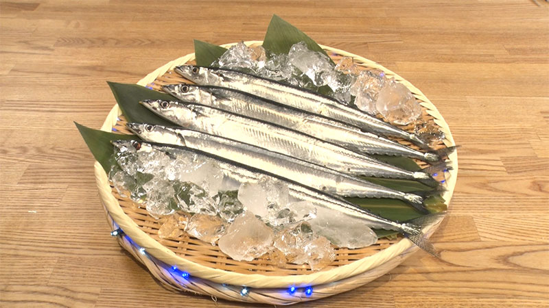 2023年11月9日