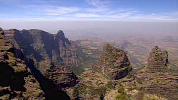 $B%7%_%(%s9qN)8x1`(B