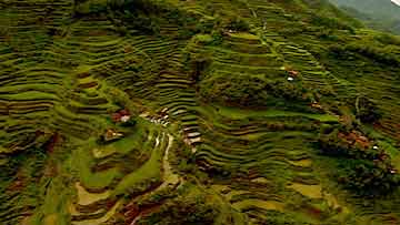 $B%U%#%j%T%s!&%3%k%G%#%l%i$NC*ED72(B