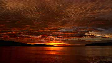 $B%&%8%e%s!&%/%m%s9qN)8x1`(B