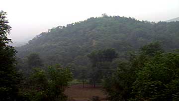 $B<~8}E9$NKL5~86?M0d@W(B