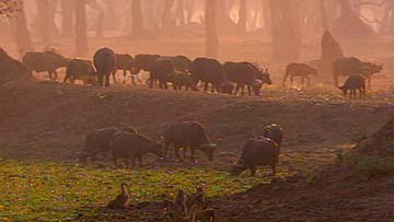 $B%^%J!&%W!<%k%:9qN)8x1`!