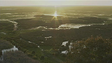 $B%I%K%c!<%J9qN)8x1`!J(BI$B!K(B