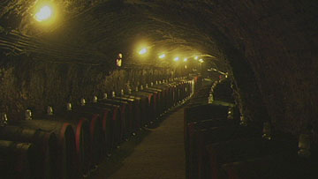 $B%H%+%$COJ}$N%o%$%s;:CO$NJ82=E*7J4Q(B