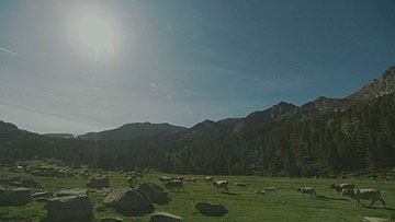 $B%^%I%j%&!&%Z%i%U%#!<%?!&%/%i%m!<7LC+(B