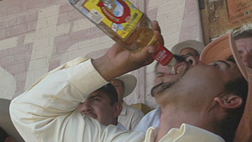 $B%j%e%&%<%D%i%s7J4Q$H%F%-!<%i$NEAE}E*;:6H;\@_72(B