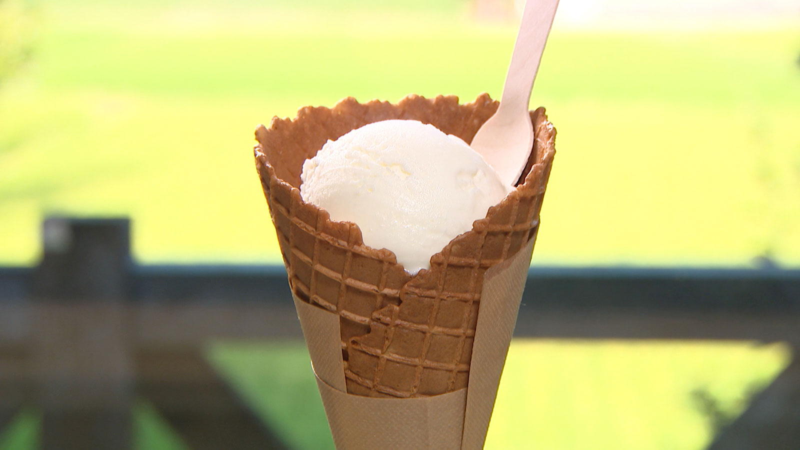ジャージー牛×琴引浜!自然を感じて濃厚塩ジェラート!