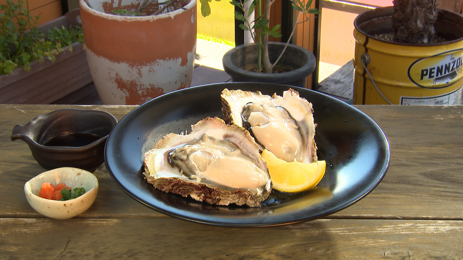 【オーナー自らが素潜りで獲る新鮮な岩牡蠣が味わえるカフェ!】