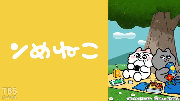 ンめねこ