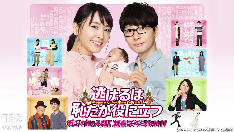 逃げるは恥だが役に立つ ガンバレ人類！新春スペシャル！！