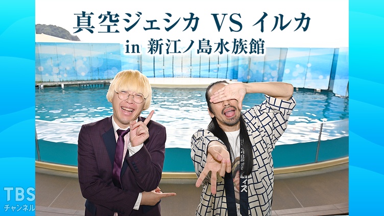 真空ジェシカ VS イルカ in 新江ノ島水族館